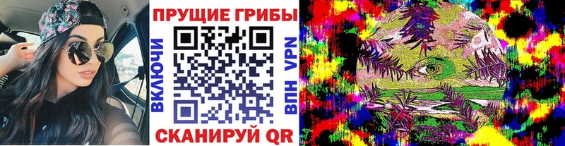 закладка  Тавда  Псилоцибиновые грибы ЛСД 